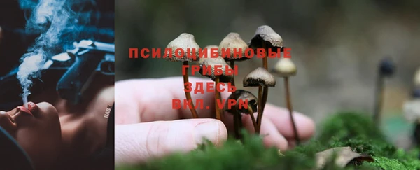 трава Верея