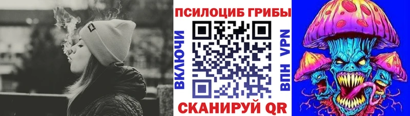 купить   Пестово  Псилоцибиновые грибы ЛСД 